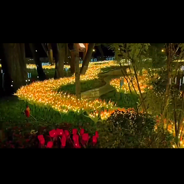 景区亮化：金黄的七头麦穗灯