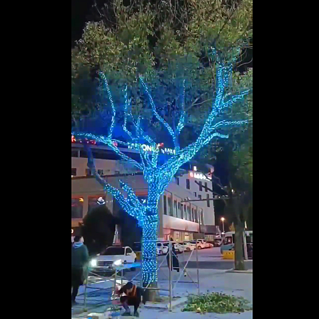 林荫街道亮化：挂件树灯点控亮化